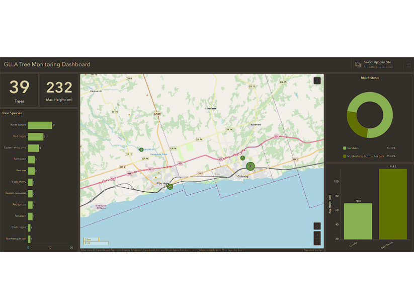 GLLA Tree Dashboard